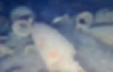 Bangkai Kapal Romawi Kuno Ini Ditemukan di Pesisir Sisilia, Penuh dengan Amphora Anggur, Jadi Bukti Jenis Anggur di Tempat Ini Menarik Perhatian Julius Caesar