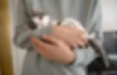 Merawat hewan peliharaan, ternyata inilah 3 alasan kucing kerap kali tidur di atas pakaian pemiliknya