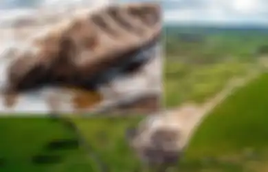 Berusia 1.600 Tahun, Patung Dewa Pagan Setinggi 2,44 Meter Ditemukan di Irlandia, Kemungkinan Pengganti Manusia untuk Dikorbankan