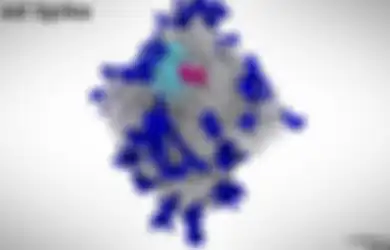 Dua Tahun Pandemi Berjalan Masih Bikin Bingung Ilmuwan, Ternyata Ini Gerbang Masuk Virus Corona ke Sel Manusia