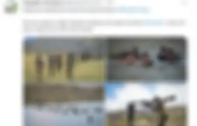 Ditinggal Amerika Sebagai Sekutu Terkuatnya, Pejuang Anti-Taliban Ungkit Rencana Balas Dendam, Bersumpah Hancurkan Taliban Sampai Tetes Darah Penghabisan