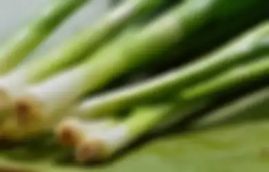 Pantas Saja Disebut Obat Sejuta Penyakit, Tanaman Ini Ternyata Memang Simpan Segudang Manfaat Kesehatan, Apa Saja?