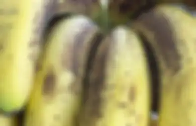 Buah Pisang Anda Berbintik dan Menghitam? Jangan Panik Dahulu, Sebaiknya Ini yang Lakukan Agar Tidak Menyesal