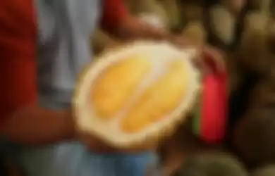 Ilustrasi durian