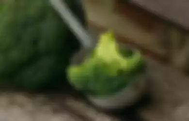 Ilustrasi cara masak brokoli hijau