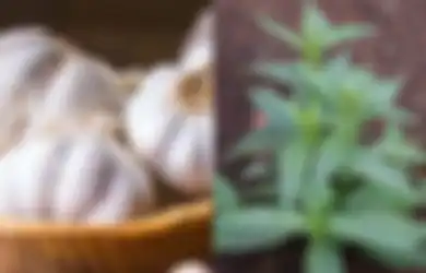 Orang Indonesia Tak Perlu Jauh-jauh Cari, Ternyata Banyak Obat Tradisional Alami Anti-HIV yang Bisa Digunakan, Mulai dari Bawang Putih Hingga Sambiloto