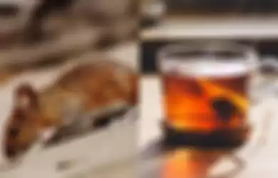 Cara mengusir tikus dengan ampas teh