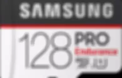 Kartu Samsung Pro Endurance 128GB
