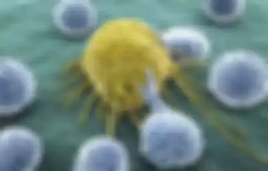 Ilustrasi sel T yang menyerang sel kanker, kini melalui teknik baru ilmuwan dapat menyaksikan secara langsung adegan sel T menyerang sel kanker ini.
