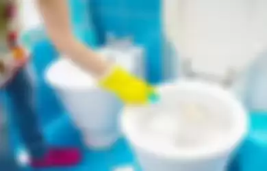 Dudukan toilet adalah salah satu bagian yang rutin harus dibersihkan. 