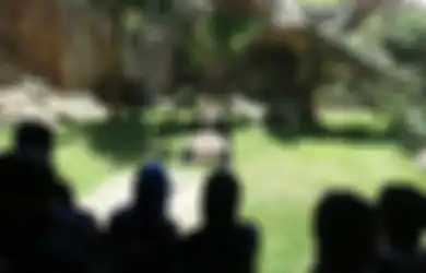 Tempat Wisata di Bogor yang Cocok untuk Liburan keluarga, Salah Satunya Tawarkan Suasana Ala Eropa