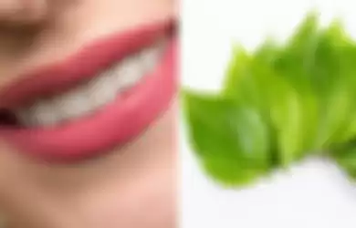 gigi dan daun sirih