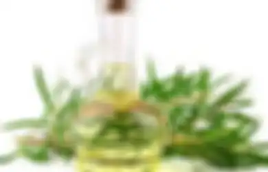 Minyak Kayu Putih Mampu Cegah Perkembang Biakan Virus Corona Jika Dipakai dengan Cara Ini, Memang Benar?
