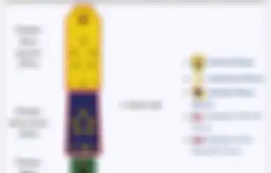 Ini Dia Urutan Tanda Kepangkatan TNI Angkatan Udara dan Juga Daftar Kecabangan yang Ada di TNI AU, Berminat?