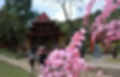 Cocok Dikunjungi  di Akhir Pekan, Inilah 5 Tempat Wisata Tawangmangu, Bisa Bersantai Sambil Nikmati Pemandangan Sekitar