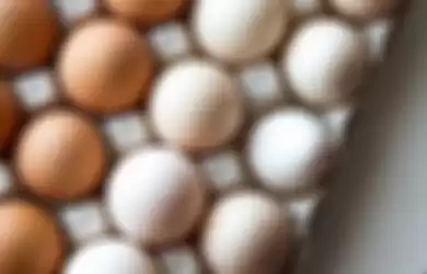Banyak Pedagang Telur Nakal Membahayakan Kesehatan, Ini Cara Jitu nan Mudah demi Deteksi Telur Kualitas Jelek!