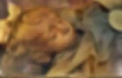 Lebih Cantik dari Mumi Mesir Firaun, Inilah Mumi Tercantik di Dunia, Wajahnya Utuh Bak Orang Tidur Meski Sudah Meninggal Ribuan Tahun Lalu, Misteri di Baliknya Mengejutkan