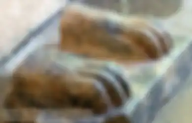 Memuat Pesan 'Ilahi dan Memberi Kehidupan Abadi' Inilah Cakar Sphinx, Fragmen Mesir Kuno peningalan Firaun yang Justru Disimpan dan Ditemukan Oleh Orang Israel, Terkuak Ini Penyebabnya