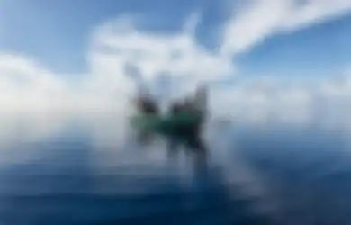 Alasan Mengapa Indonesia Disebut Negara Maritim, Apakah Punya Laut yang Luas Saja Cukup?