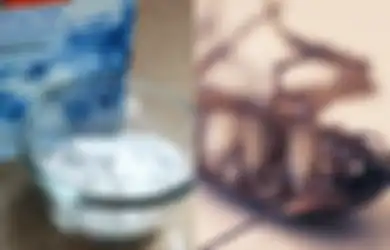 Tak Perlu Nekat Menyentuhnya, Pakai Saja Campuran Baking Soda dan Gula untuk Membasmi Kecoak dari Rumah, Ini yang Akan Terjadi