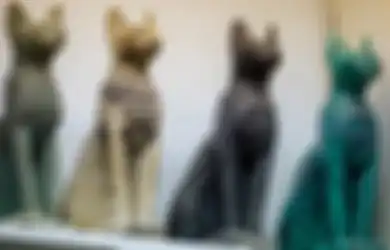 Tak Melulu Dipuja-puja, Ternyata Ada Alasan Biadab dan Kejam Mengapa Orang Mesir Kuno Terobsesi pada Kucing, Penelitian Ini Buktinya