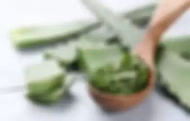 Aloe vera atau lidah buaya, baik untuk penderita eksim