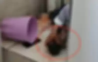 Mahasiswi kepergok melahirkan di toilet kampus