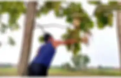 Sarangnya Dihancurkan dalam Video Viral 'Salam dari Majalengka', Siapa Sangka Lebah Bisa Jadi Penentu Kepunahan Manusia, Sang Genius Einstein Mengungkapnya