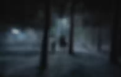 Banyak adegan di serial The Witcher terutama di Season 2 yang bertempat di lokasi-lokasi yang gelap