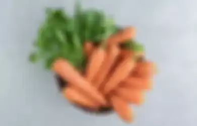 Manfaat wortel untuk kanker