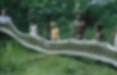 Diincar oleh Ular Raksasa hingga Terbiasa Bawa Parang, Seperempat Populasi Pria dari Suku di Pedalaman Hutan Asia Tenggara Ini Menjelma 'Pembunuh Mahir'