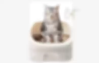 Deo-Toilet untuk Kucing 