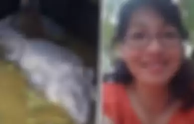 Video detik-detik evakuasi mayat wanita Minahasa yang tewas dimakan buaya peliharaan itu sempat viral di media sosial. 