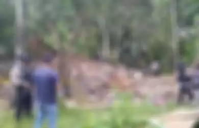 Foto rumah Ulung di Pandeglang yang hancur lebur itu ramai dibahas di media sosial. Terlebih lagi pemilik rumah punya profesi ini.