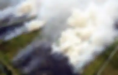 Bak Buka Luka Lama, Dugaan Kasus Money Laundering Gibran dan Kaesang Seret Kasus Pembakaran Hutan Seluas Sepertiga Jakarta Ini, Terkuak Mengapa Pengadilan Tolak Gugatan Rp 7,9 Triliun Kala Itu