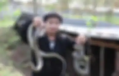 Bisnis 'Tak Lazim' Sebuah Desa di China, Warganya Nekat Jadi Peternak Ular Lantaran Alasan Ini, Ada Ratusan Ekor Macam Ular hingga yang Beracun Sengaja  Dikembangbiakkan