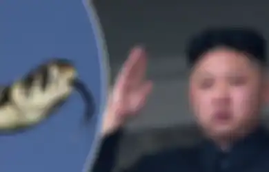 Saat Kim Jong Un Deklarasikan 'Perang' Melawan Populasi Ular yang Tiba-tiba Membludak di Korea Utara dan Menyebutnya sebagai Rencana Licik Korea Selatan