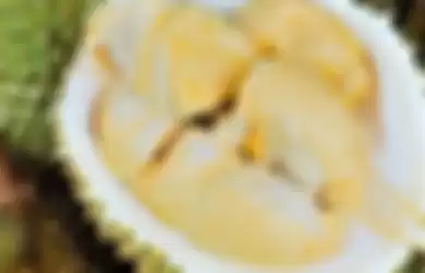 Manfaat biji durian