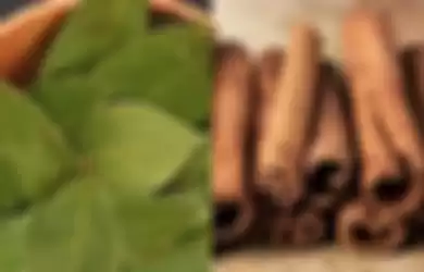 Manfaat luar biasa dari rebusan daun salam dan kayu manis untuk kesehatan