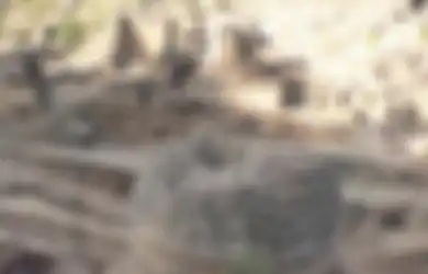 Berusia 2.000 Tahun, Kuil Buddha Ditemukan di Pakistan, Kemungkinan Ditinggalkan Ketika Terjadi Gempa Bumi, Wilayah Penaklukkan Alexander Agung
