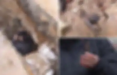 Berusia 500 Tahun, Ruang Mata-mata Rahasia Ini Ditemukan di Bawah Jalan Moskow, Diperkirakan Dibangun oleh Ibu Ivan ‘Mengerikan’, Digunakan Terakhir Saat Perang Rusia Lawan Polandia