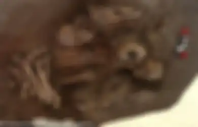 Kekejaman Penguasa Spanyol, Inilah Pembantaian Tragis yang Menimpa Suku Aztec Kuno, Anak-anak Hingga Wanita Dibantai Dengan Cara Keji Ini