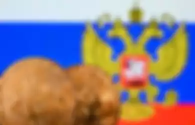 Bendera Rusia dan Bitcoin