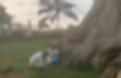 Alina Yogi bule Rusia yang nekat foto tanpa busana di pohon keramat di Bali banjir kecaman. Ternyata dia punya profesi mentereng ini. 