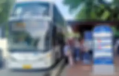Bus Wisata Transjakarta