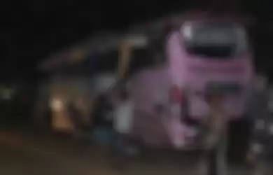 Foto netizen memberi bukti bus Pandawa yang alami kecelakaan maut di Ciamis cuma kendaraan bekas dari perusahaan ini. 