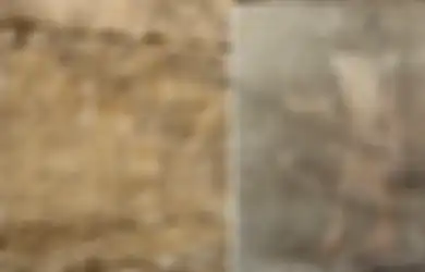 Berusia 4.300 Tahun, Makam Manusia yang Digali Arkeolog di Mesir Ini Adalah Orang yang Tangani ‘Dokumen Rahasia’ Firaun, Siapakah Dia?