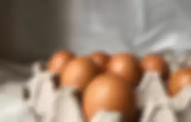 Ilustrasi telur