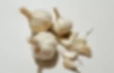 Ilustrasi bawang putih