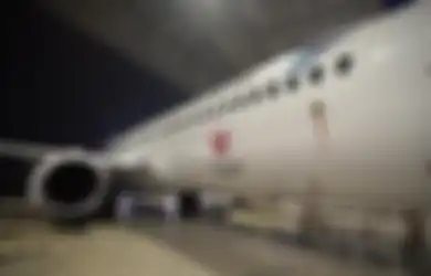 Selamat dari Kebangkrutan di Detik-detik Terakhir, Bisakah Maskapai Pelat Merah Indonesia Garuda Indonesia Bangkit Lagi Setelah Kredit Rp 142 Triliun Ini Dikucurkan ke Mereka?